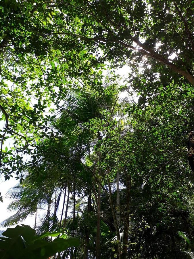 Sumatra Ecolodge 圣塞巴斯蒂安 外观 照片