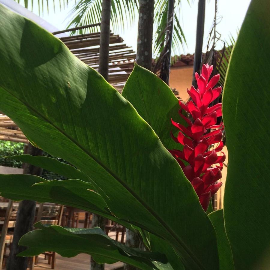 Sumatra Ecolodge 圣塞巴斯蒂安 外观 照片