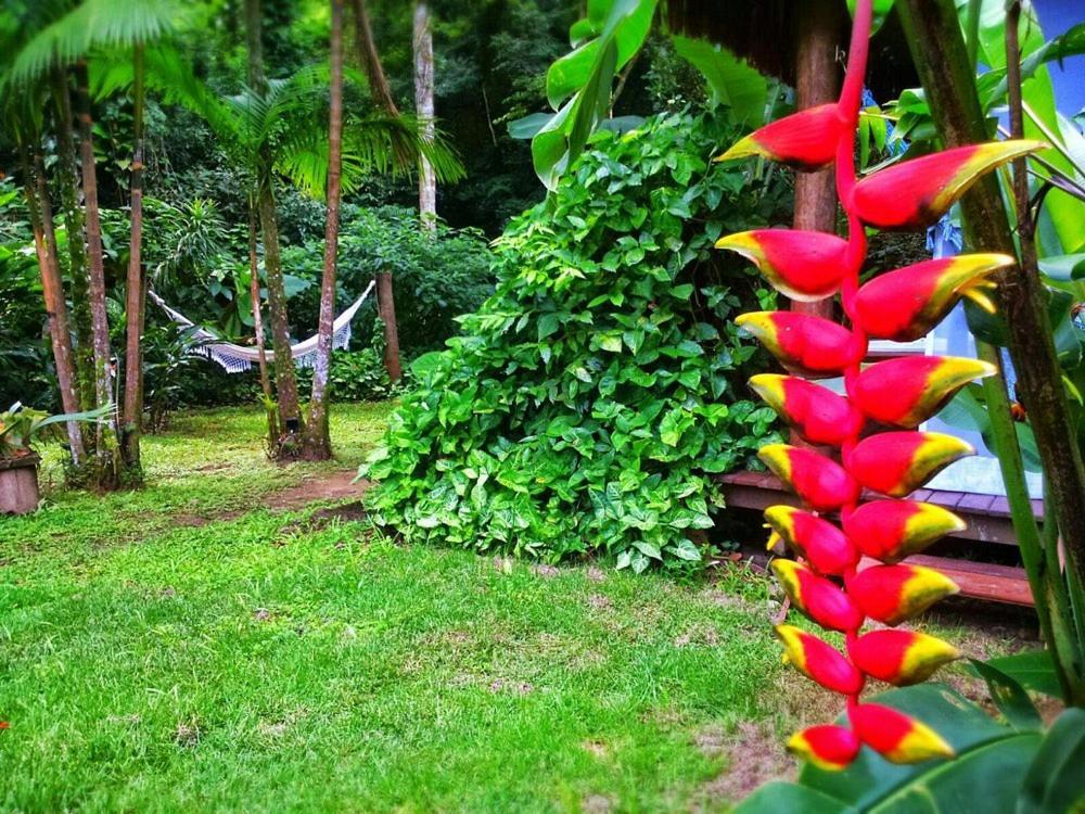Sumatra Ecolodge 圣塞巴斯蒂安 外观 照片